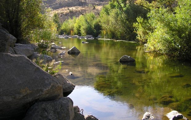 Bass Fishing Background Widescreen.