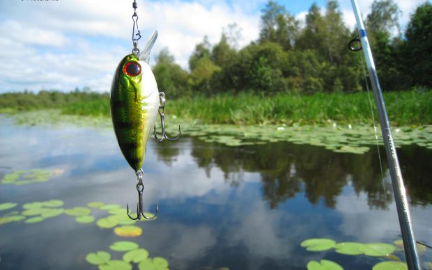 Bass Fishing Desktop Wallpaper.