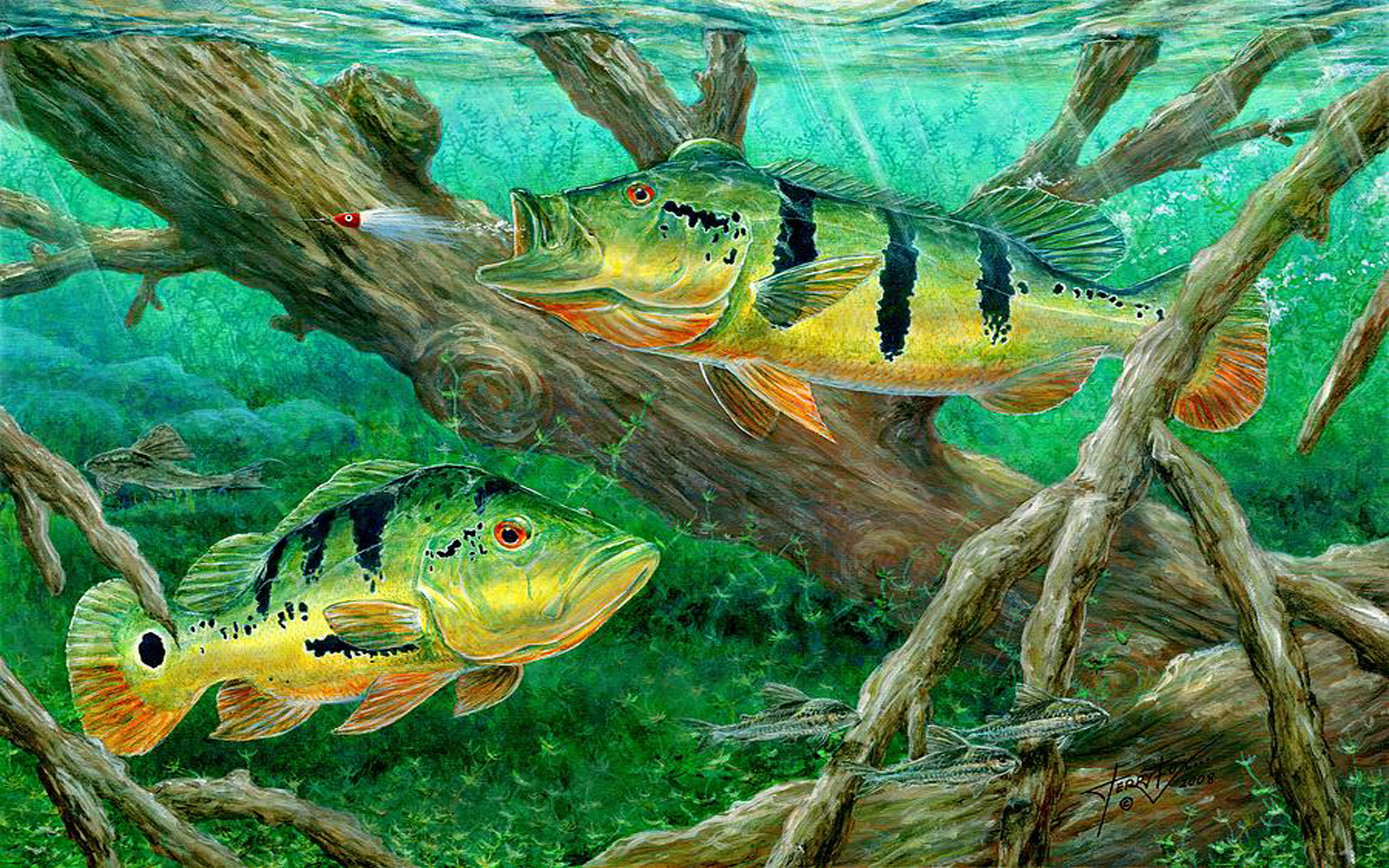 Download Beautiful Bass Fishing Wallpaper  Wallpaperscom