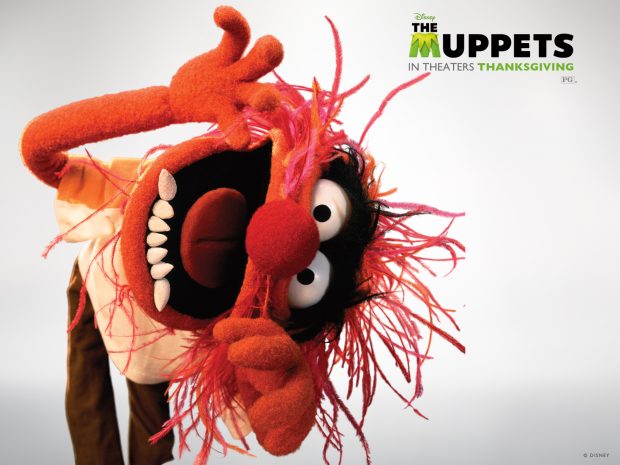 Beaker Muppets Wallpaper Free Download.