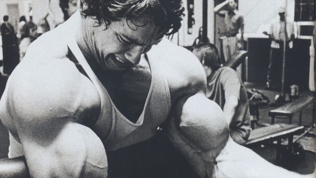 Beautiful Arnold Schwarzenegger Background.