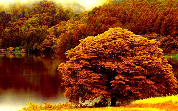 Beautiful Autumn Forest Lake Background.