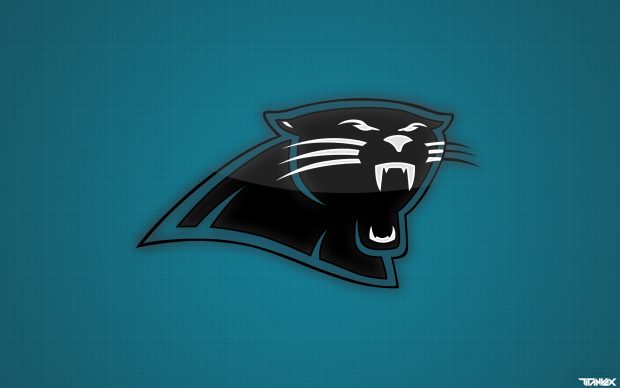 Beautiful Carolina Panthers Wallpaper.