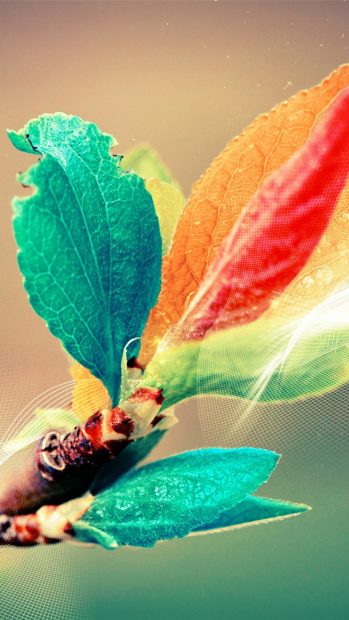 Beautiful Colorful Bud Leaf Branch Silk Line Art iphone photos.
