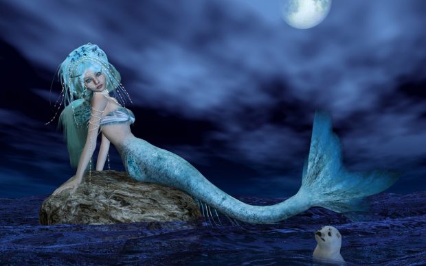 Beautiful fish angel at night view nice pictures.