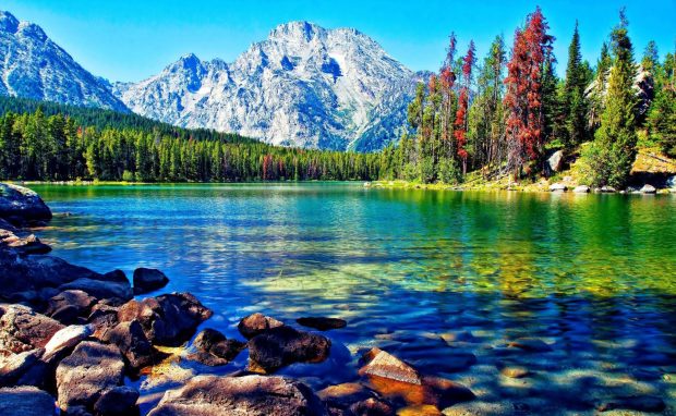 Beautiful lake mountain forest desktop wallpapers 1920x1200.