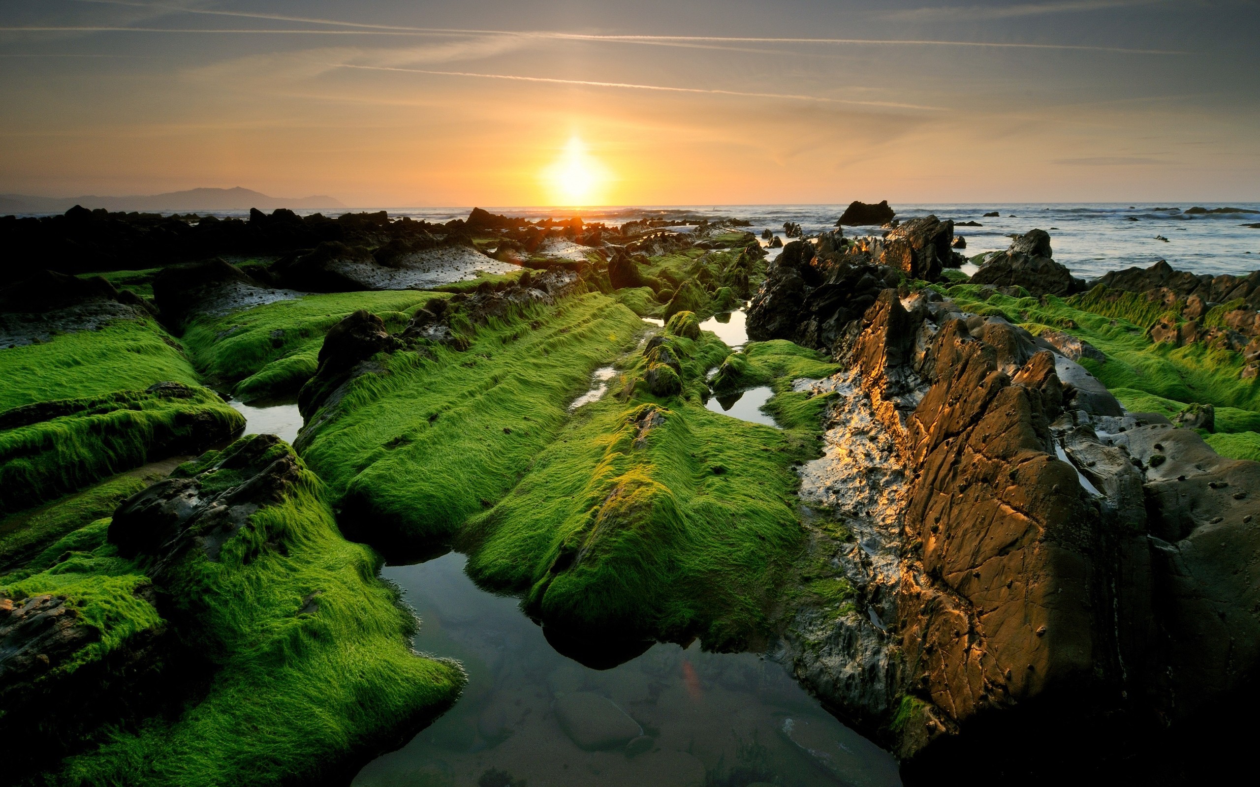 Best Desktop Background Sites Free Download