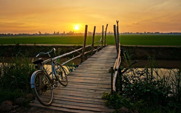 Bicycle HD Wallpaper.