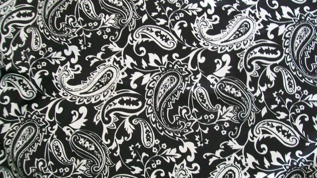 Black Paisley Photos.