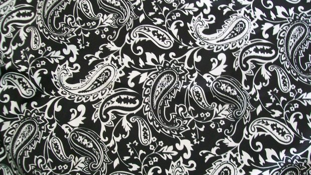 Black Paisley Photos.