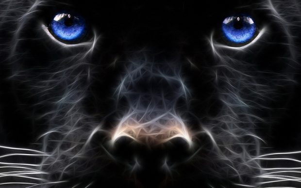 Black Panther 3D Wallpaper HD.