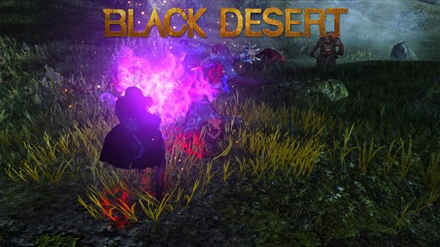 BlackDesert Combat Photos.