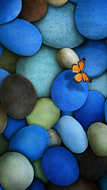 Blue Pebbles Orange Butterfly Android Wallpaper.