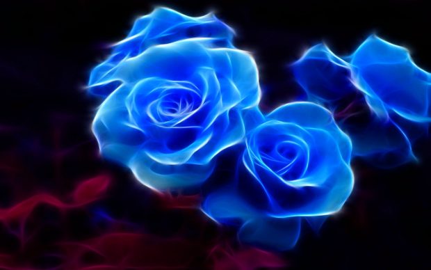 Blue and Gold Roses Photo.