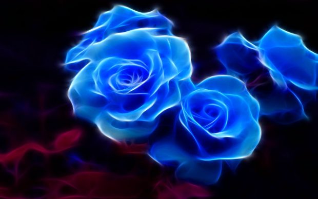 Blue and Gold Roses Photo.