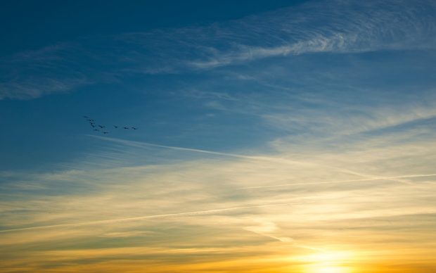 Blue and Gold Sky Image.