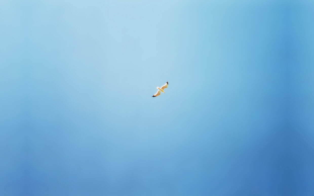 Clean Backgrounds - PixelsTalk