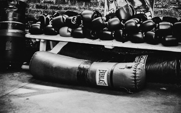 Boxing Gloves Wallpaper for Desktop.