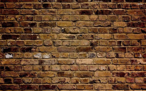 Brown brick wallpaper hd.