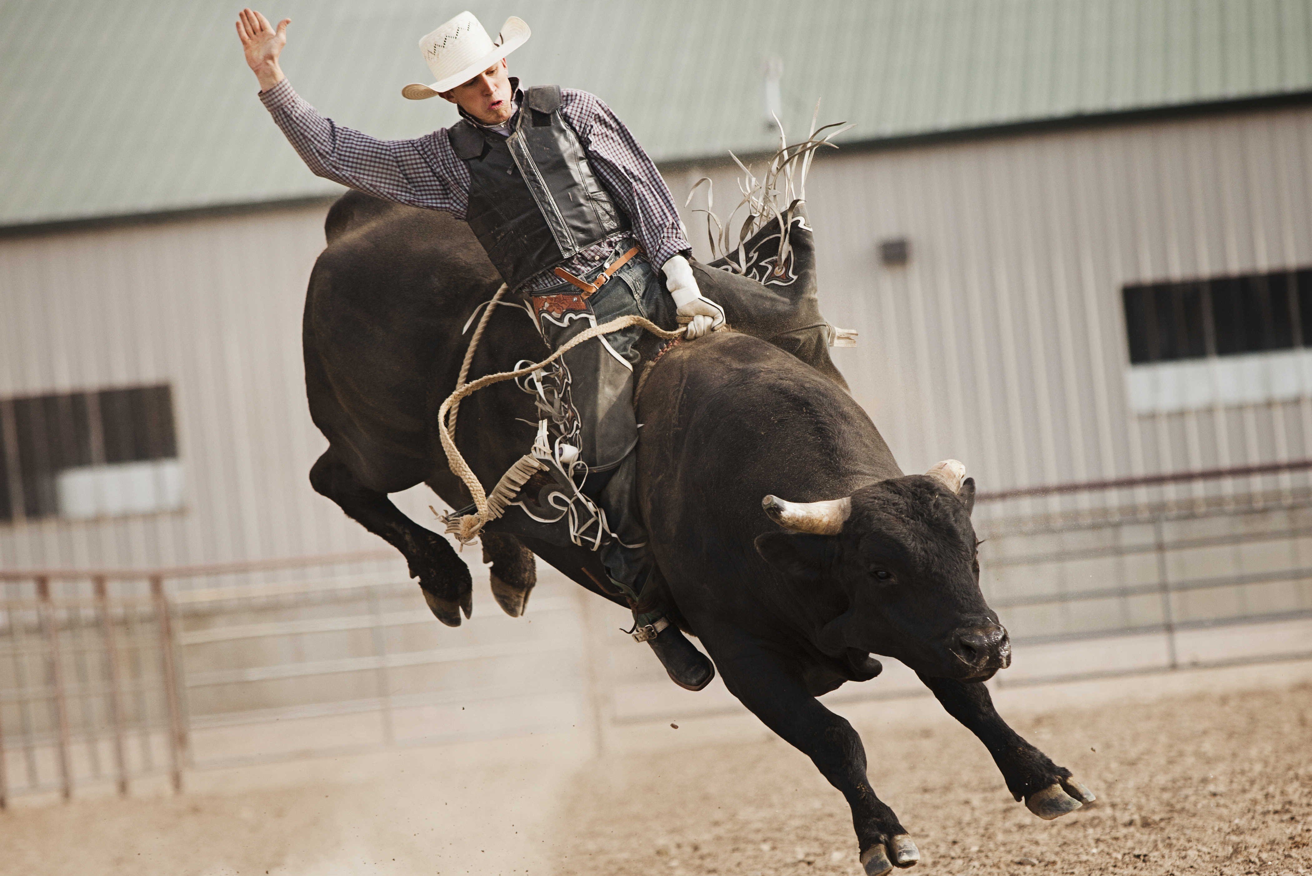 Bull Riding Backgrounds Free Download