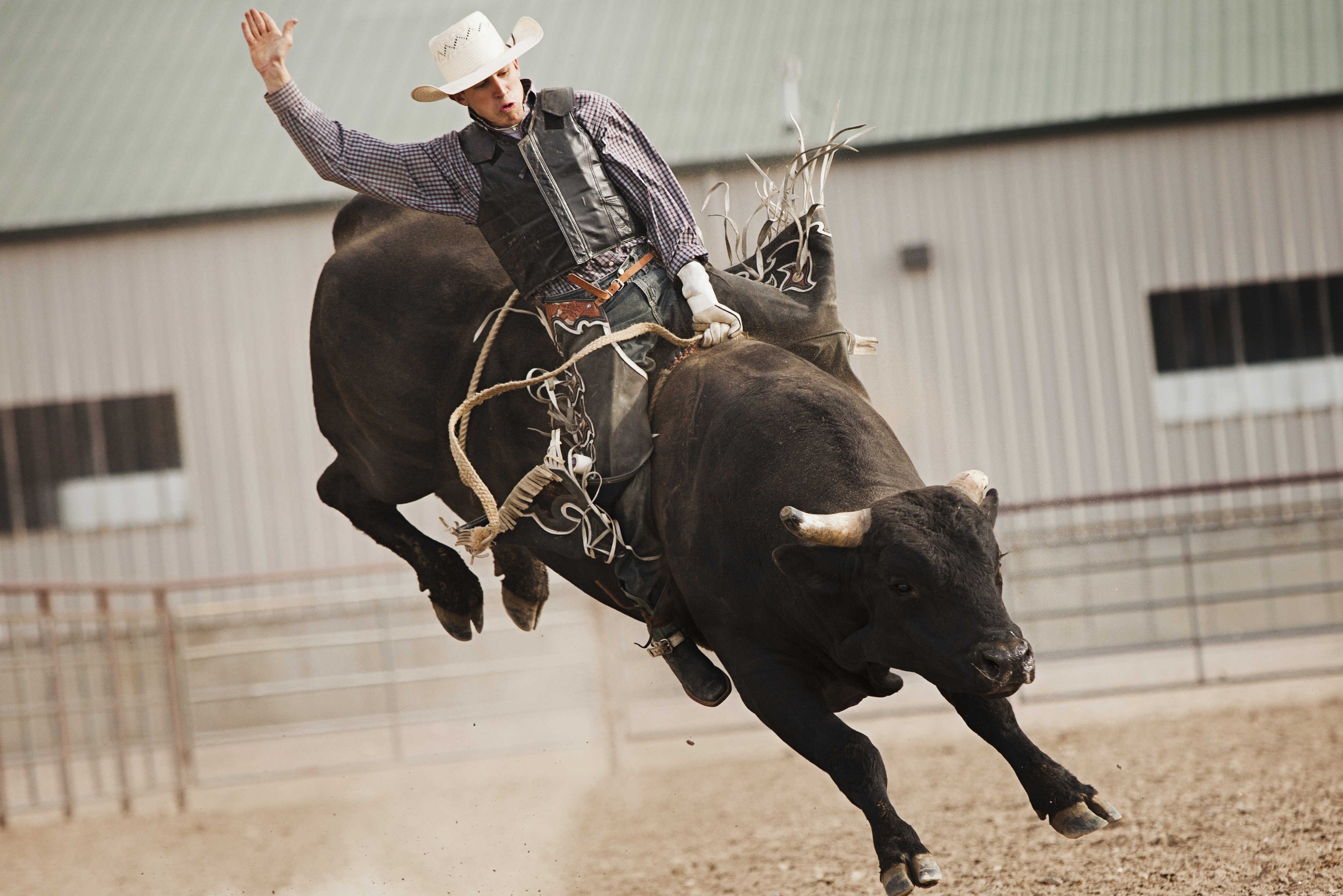 Bull Riding Quotes Life QuotesGram