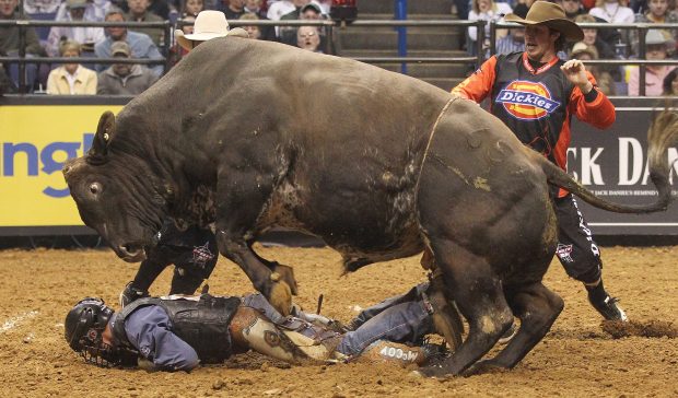 Bull Riding HD Backgrounds.