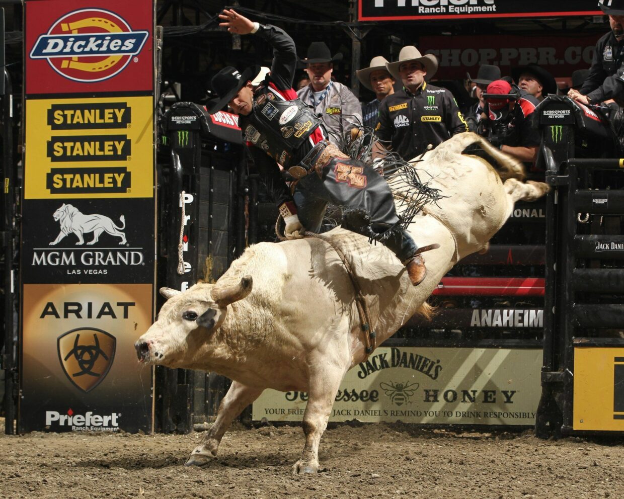 Bull Riding Backgrounds - PixelsTalk