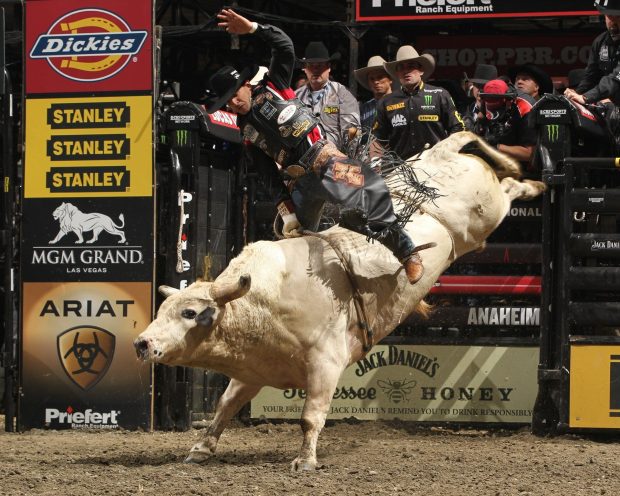 Bull Riding HD Images.