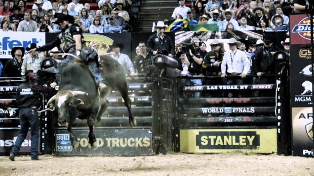 Bull Riding Photos Download.