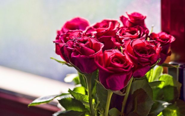 Bunch of red roses wallpaper.
