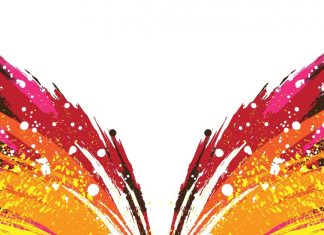 Butterfly Abstract Design Colorful Patterns Texture Wallpapers.