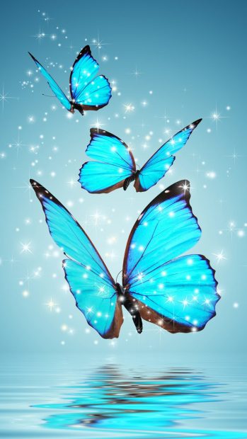 Butterfly Wallpaper For Android Free Download.
