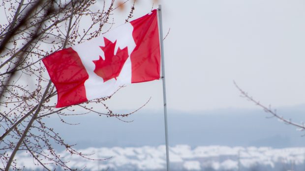 Canadian flag tree clouds country 4k ultra 2560x1440.