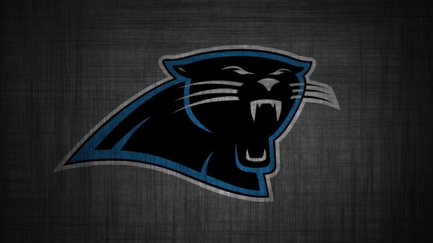 Carolina Panthers HD Wallpaper.