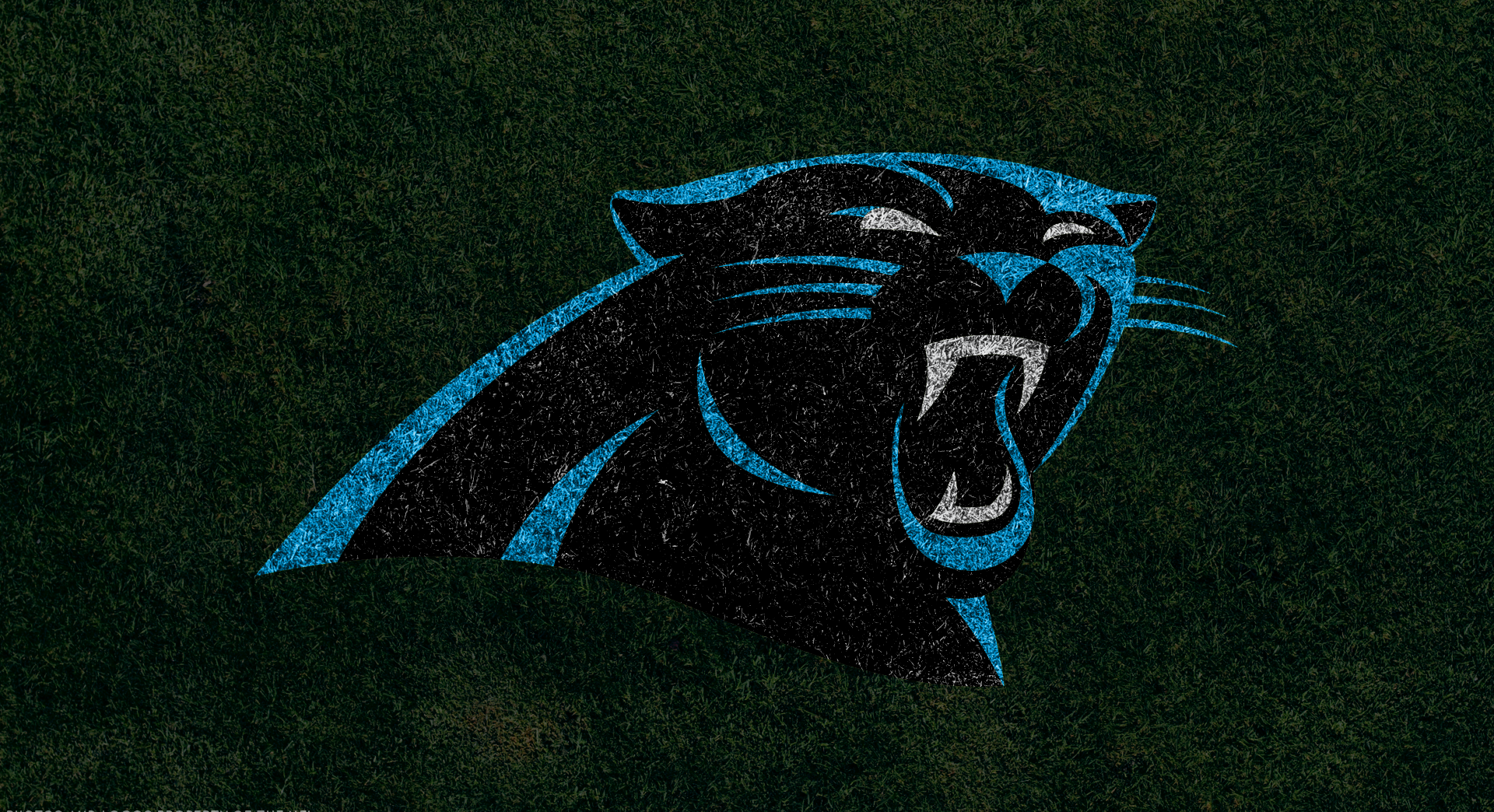 100 Carolina Panthers Wallpapers  Wallpaperscom