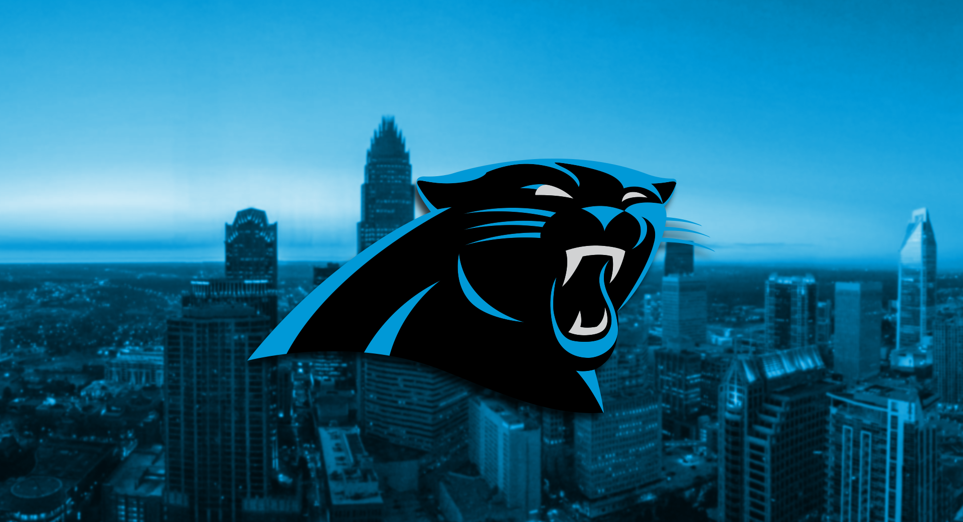 Download Carolina Panthers Number 11 Wallpaper  Wallpaperscom