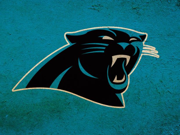 Carolina panthers HD Photos.