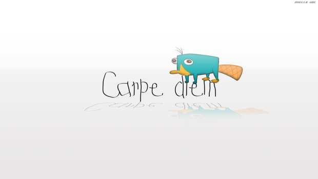 Carpe Diem Backgrounds Free Download.