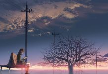 Cartoon 5 Centimeters Per Second.