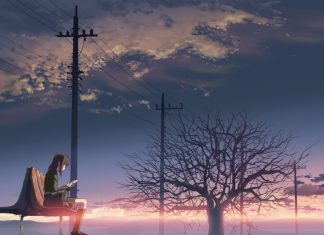 Cartoon 5 Centimeters Per Second.