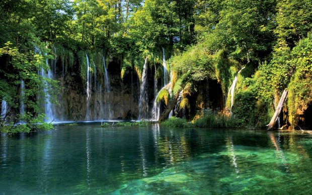 Chainimage landscape waterfall in the forest hd desktop wallpaper hd desktop.