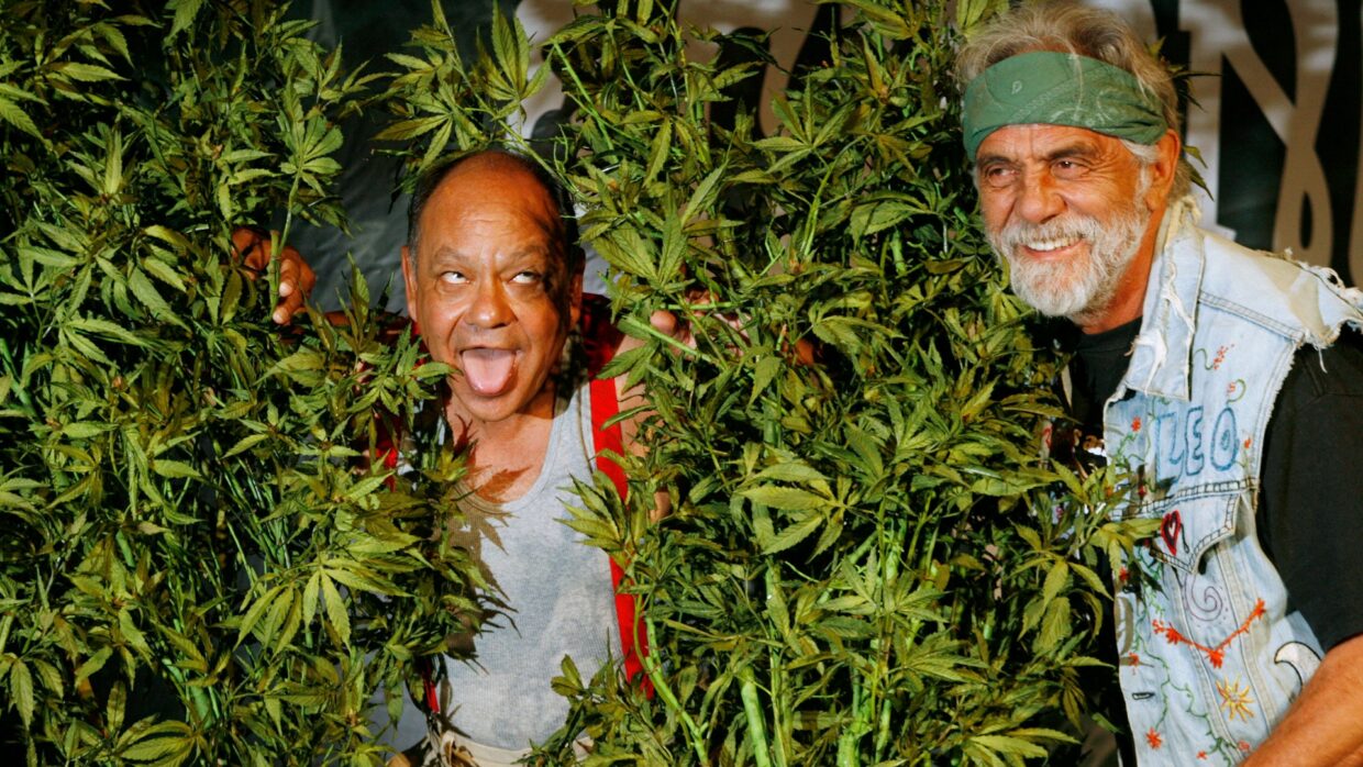 Cheech And Chong Wallpapers - PixelsTalk