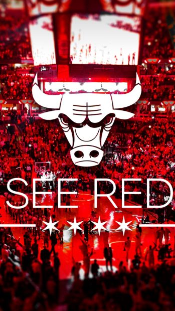 Chicago bulls wallpaper iphone hd.