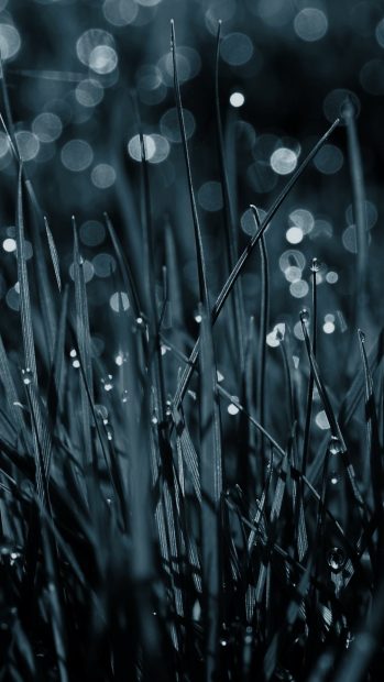 Classy iPhone Backgrounds.