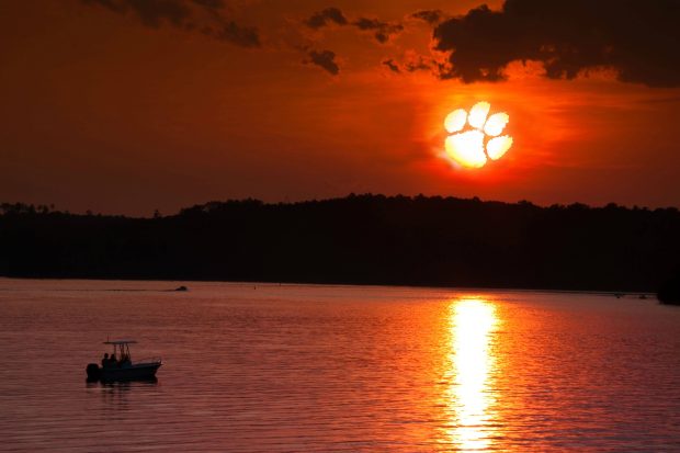 Clemson Tigers Wallpapers HD.