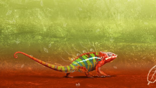 Colorful Arte Animal HD Wallpaper.