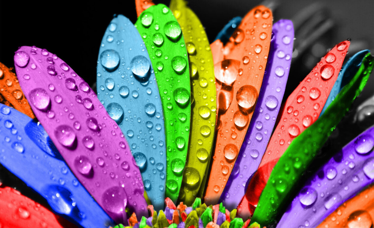 Colorful Wallpaper Tumblr - PixelsTalk