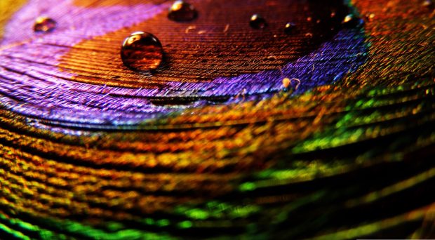 Colorful cloth wallpaper 1920x1080.