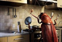 Cooking Wallpapers HD For Desktop.