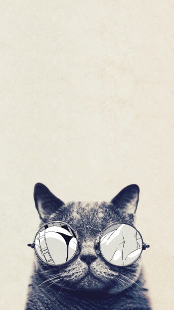 Cool Cat iPhone Backgrounds.